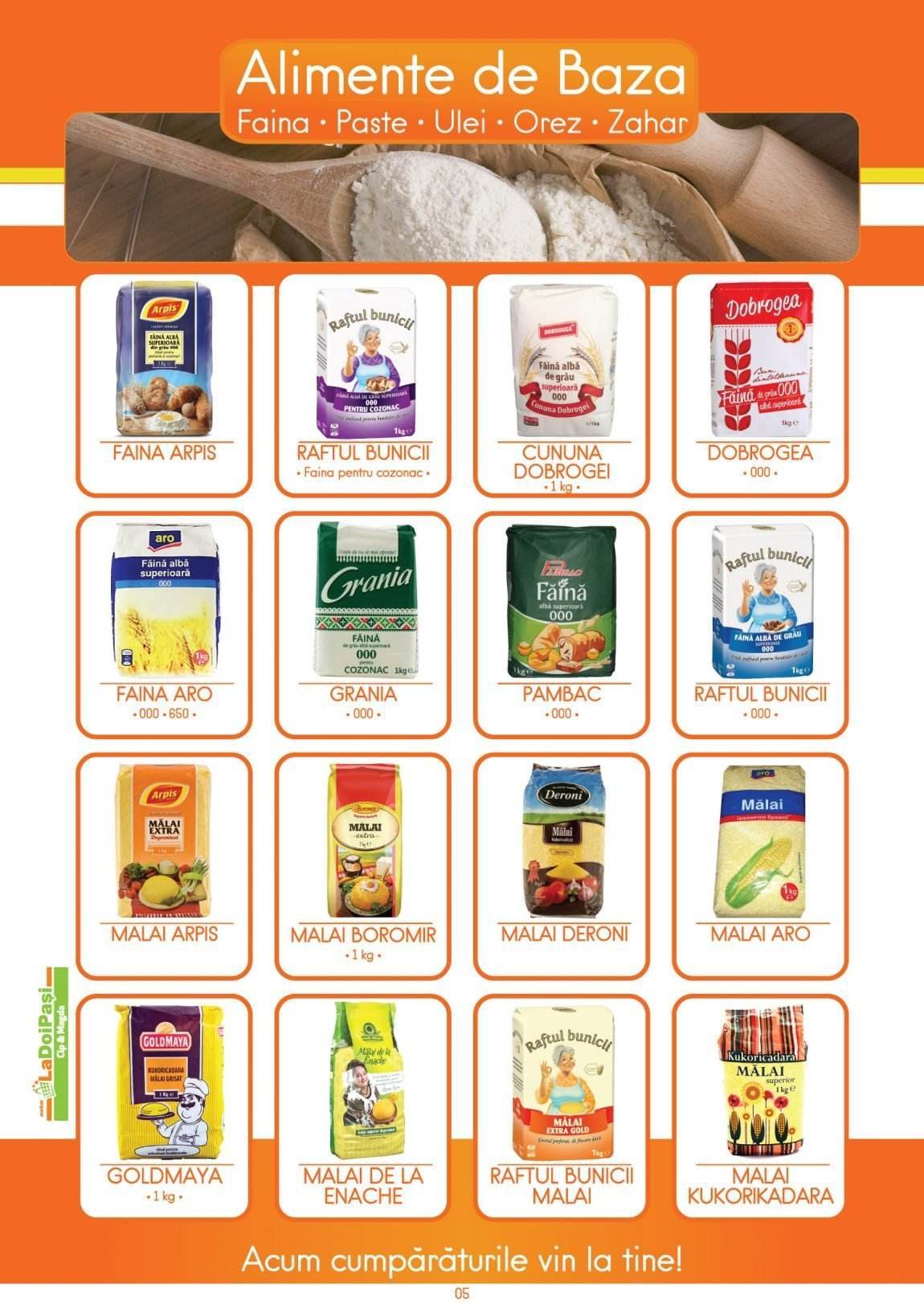 02-Alimente-de-baza.jpg